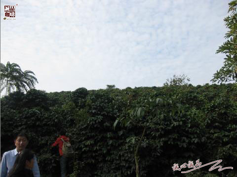 47.jpg
